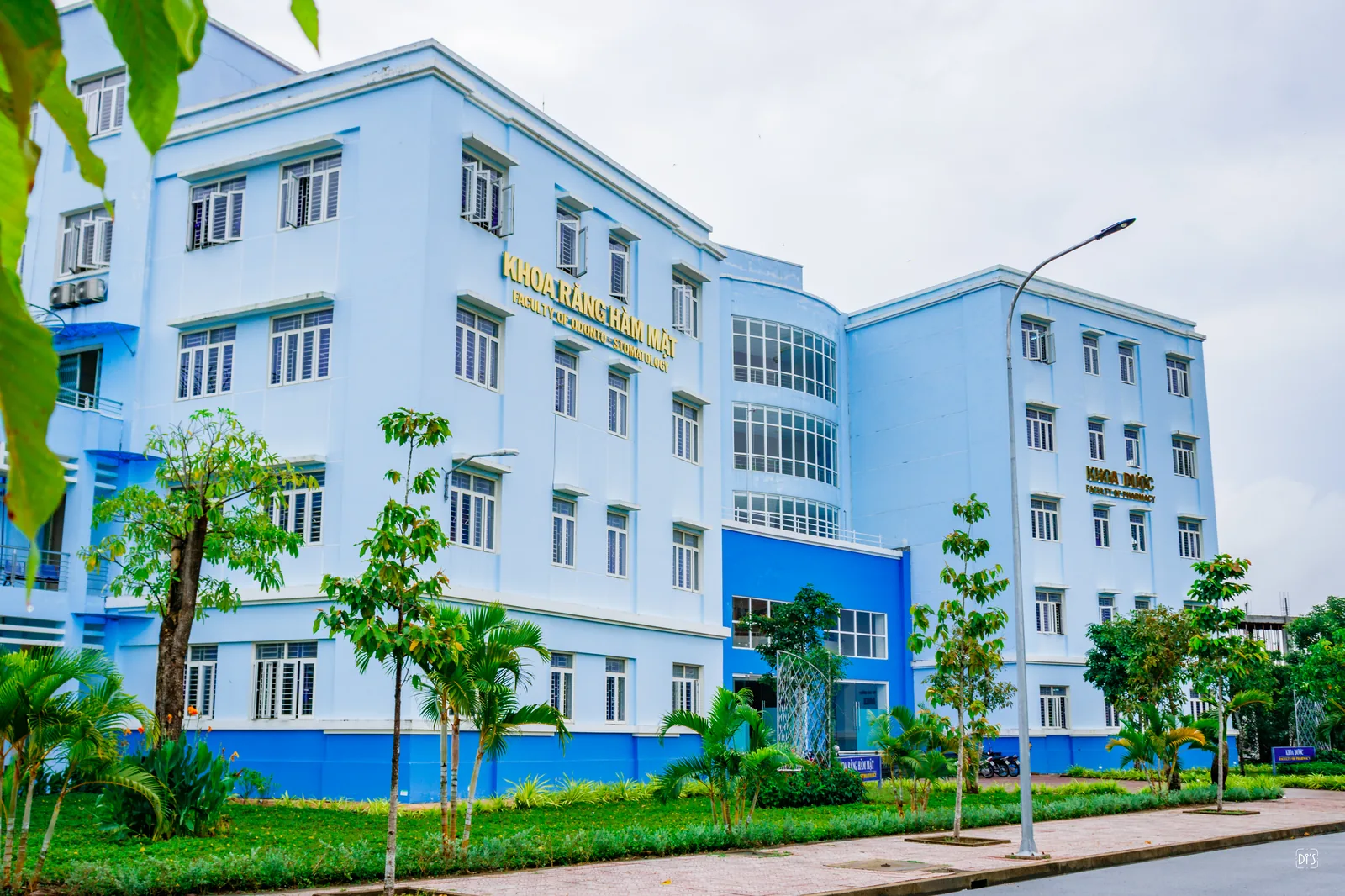 Faculty of Medicine facilities and greenery at CTUMP