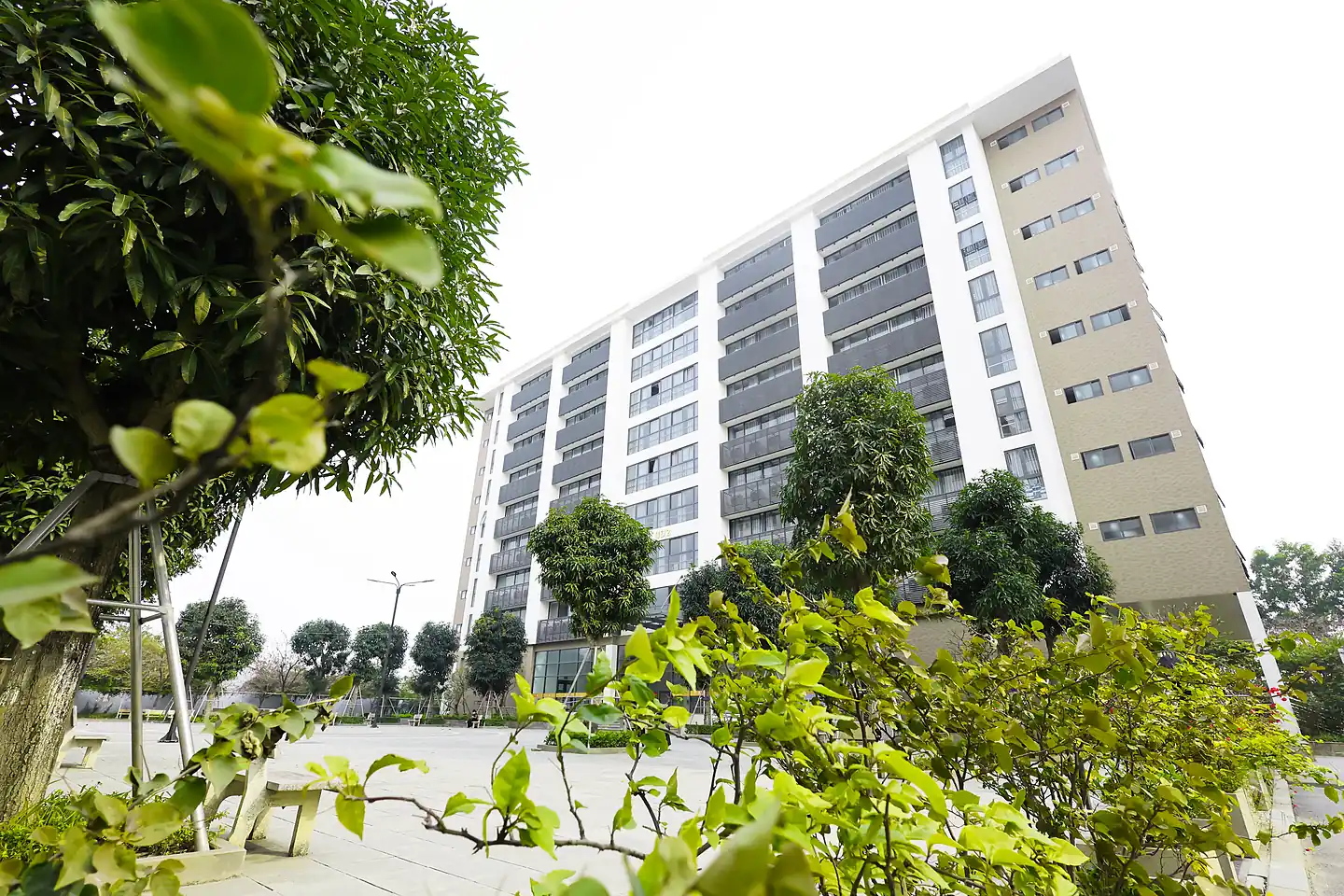 Landscaped avenue leading to smart digital lecture halls and classrooms